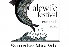 Image of fish jumping out of water