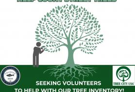 Seeking volunteers to help the town inventory street trees