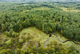 aerial photo showing horsepilot farm with trees and wetalnds 