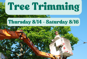 A bucket truck with a person in it trims tree branches in a tall tree with text over it reading tree trimming 8/14-8/16
