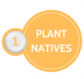 Step 1 Plant Natives Step 1 Plant Natives