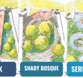 a side by side comparison showing three different designs for the park, one with a deck, one with a snail design, and a snake