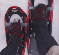 SnowShoes