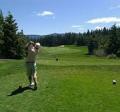 Golfer Drives the ball down the fairway