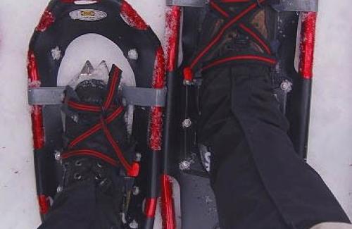 SnowShoes
