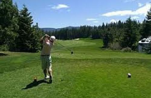 Golfer Drives the ball down the fairway