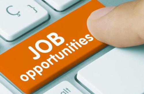 Job Opportunity
