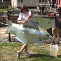 Renay Allen wearing a silver fish mascot costume while holding a real river herring at the 2022 Alewife Festival