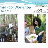 Vernal Pool Workshop