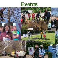 Collage of various tree committee events