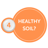 Step 4: Healthy Soil