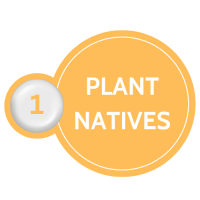 Step 1 Plant Natives