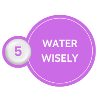 Water Wisely