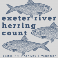 image with river herring