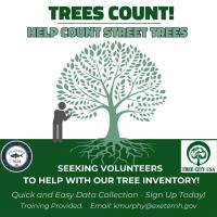 Seeking volunteers to help the town inventory street trees