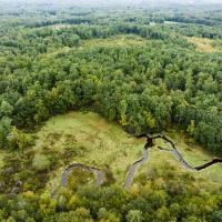aerial photo showing horsepilot farm with trees and wetalnds 