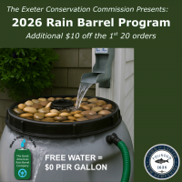 Image of a rain barrel collecting water from a gutter downspout