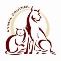 animal control