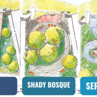 a side by side comparison showing three different designs for the park, one with a deck, one with a snail design, and a snake