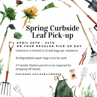 spring leaf pick up