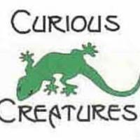 curious creatures 