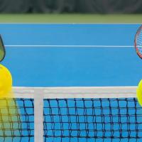 Pickle Ball Tennis