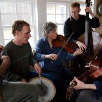 a group of people playing string instruments such as violins, cellos and more