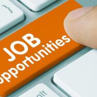 Job Opportunity