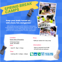 Chess Wizards April Vacation Week Program