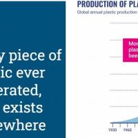 88% of all plastic produced still exists.  >50% of all plastics were produced since 2000
