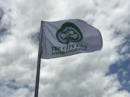 tree city flag