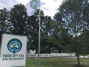 Tree City sign and flag