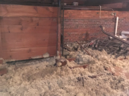 old insulation lines the floor of the town hall attic