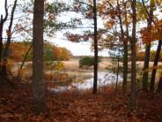 Image of Wheelwright Creek