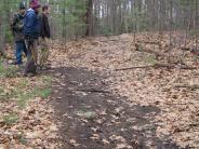 Image of trail with leaves blown off.  