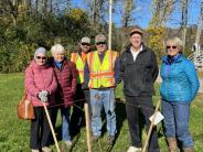 liberty elm tree planting crew