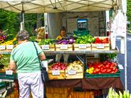 Farmer's Market