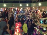 Exeter Festival of Trees