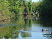 Gilman Park bridge