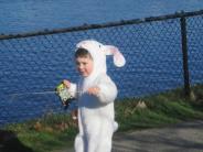 Little Easter bunny