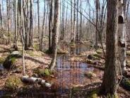 Henderson-Swasey Trail