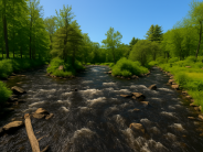 Pickpocket Dam Site Walk - View from Cross Rd Bridge Rendering 11/1/25