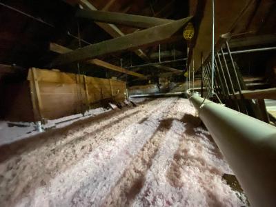 new pink insulation lines the attic floor of town hall