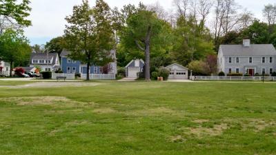 Street view of homes