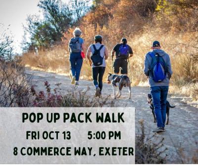 several people hike on a dirt trail with their dogs