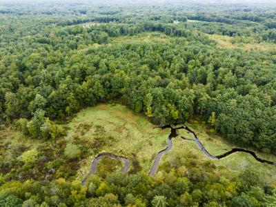 aerial photo showing horsepilot farm with trees and wetalnds 