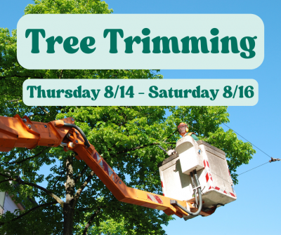 A bucket truck with a person in it trims tree branches in a tall tree with text over it reading tree trimming 8/14-8/16