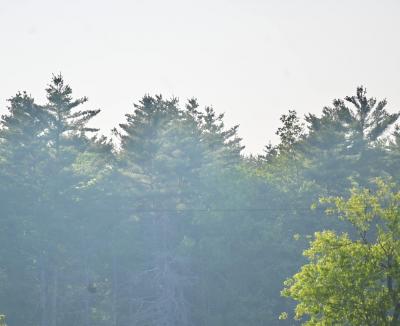 Canadian wildfire smoke blows over Exeter causing hazy skies