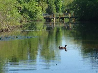 exeter river