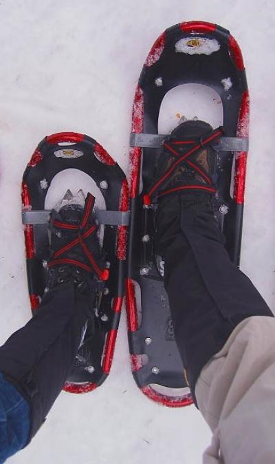 SnowShoes